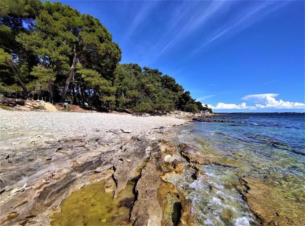 San Valentino Ξενοδοχείο Bašanija Εξωτερικό φωτογραφία